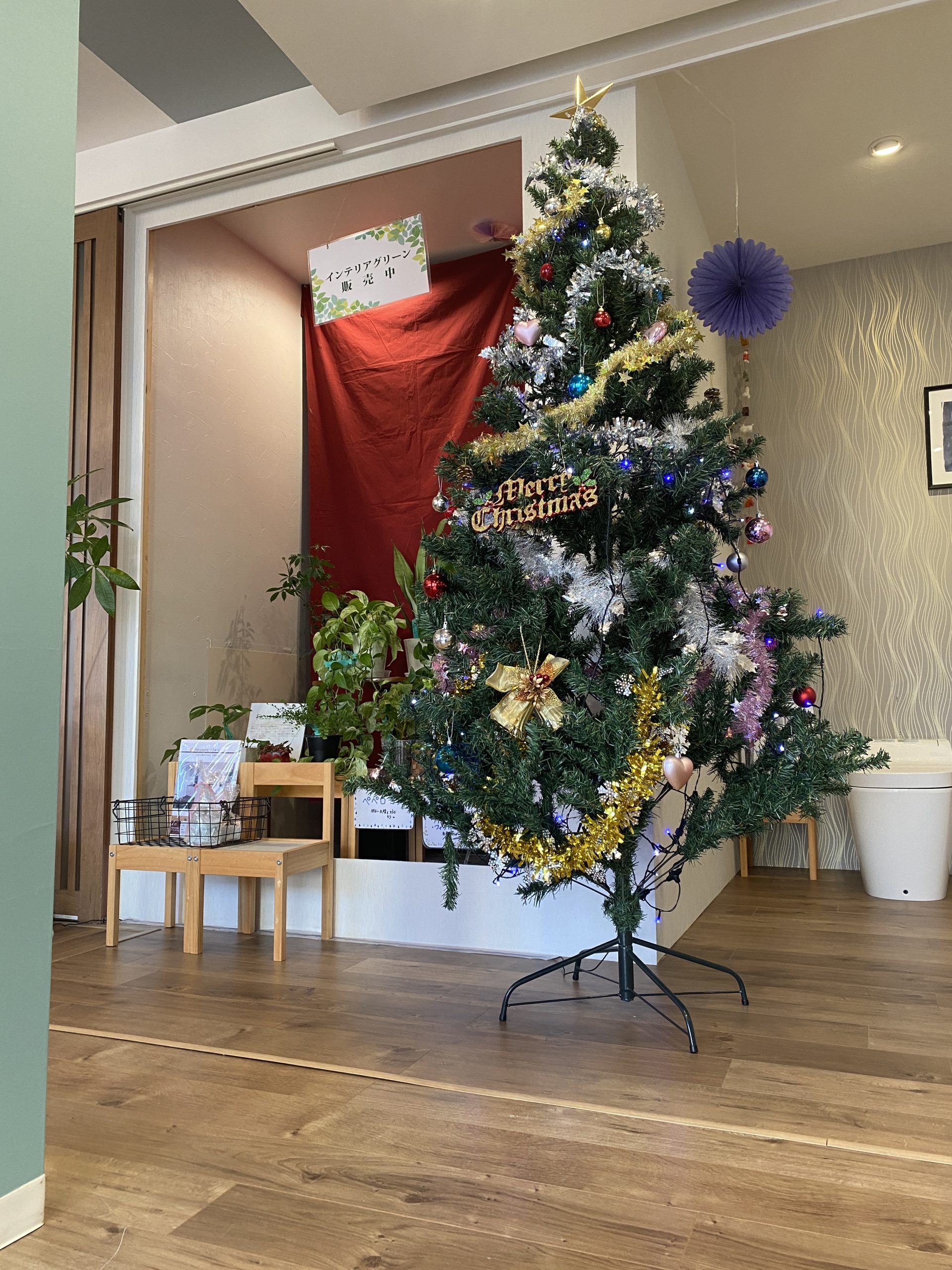 クリスマスまで…あと5日